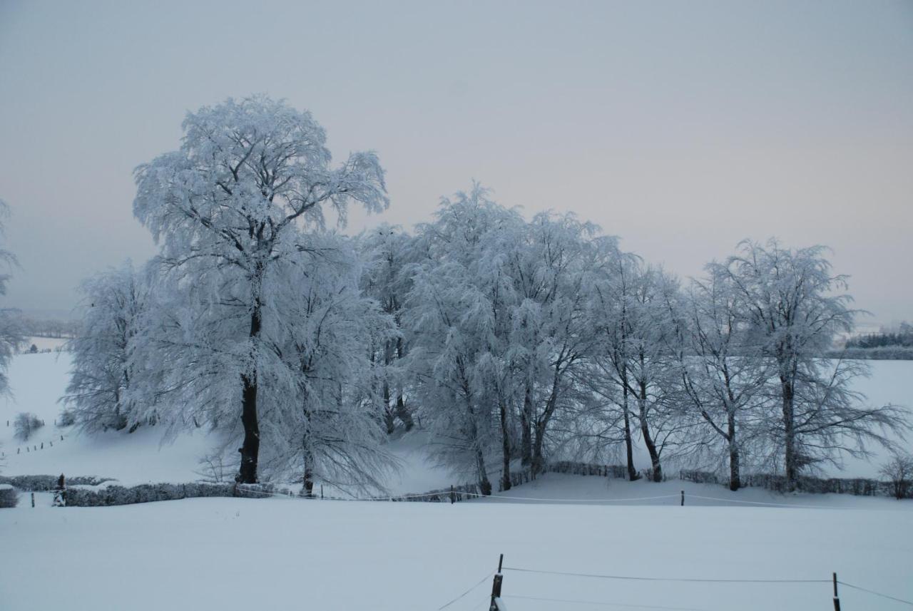 Eifel Lodge Butgenbach Bagian luar foto